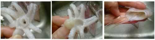 3����Ӫ����ζ�����������