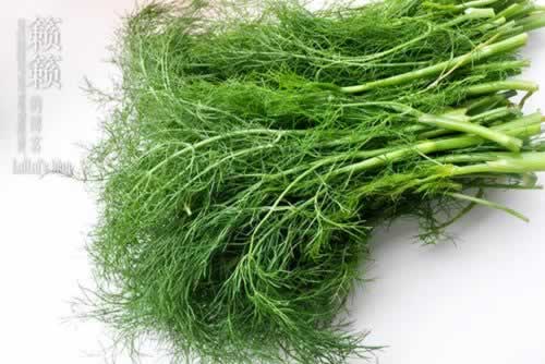 ��������ȵ�����