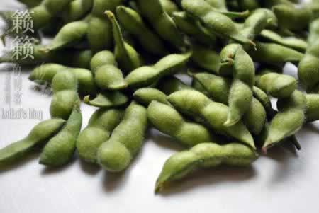 ����ë��������