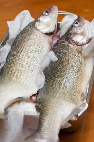 ը������������