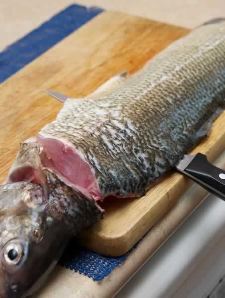 ը������������