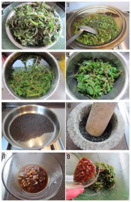 蒜泥马齿苋的做法