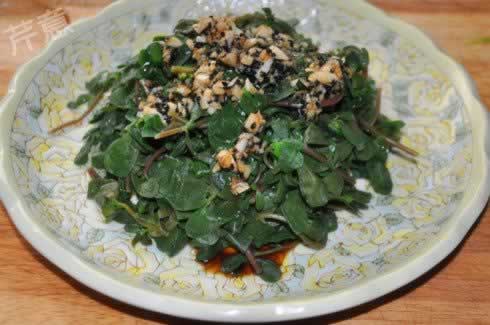 蒜泥马齿苋的做法