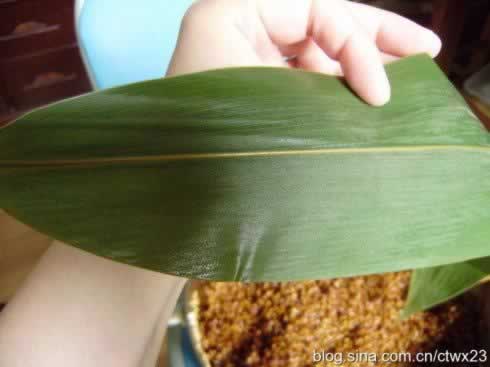 �������ӵ�����