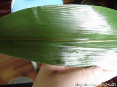 �������ӵ�����