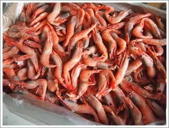 �ɹ�����Ϻ������