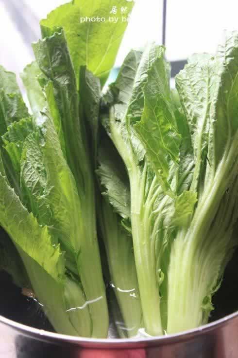 �㹽�����������