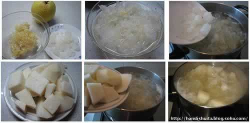 ����ѩ���������