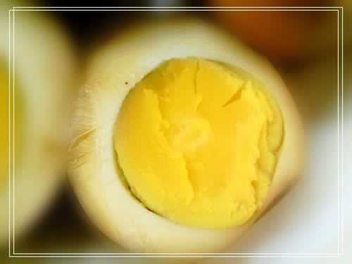 ����±֭������