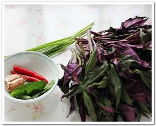 ����ѪƤ�˵�����