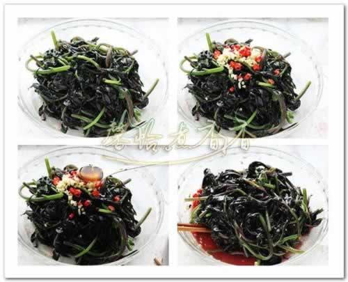 ����ѪƤ�˵�����