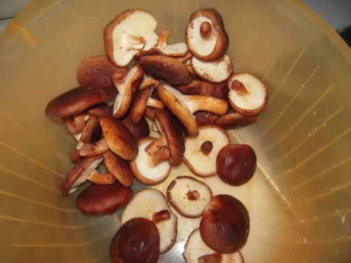 �Ź��㹽�յ�����