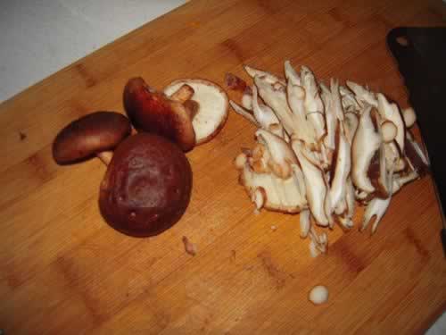 �Ź��㹽�յ�����