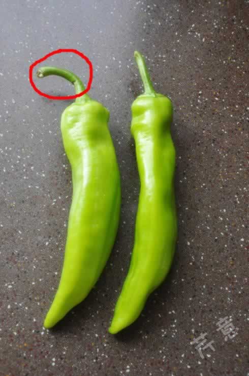 ��θ����Ȧ����ɫ�ֳ��������