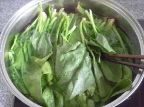 ���貤�˵�����