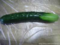 �Ǵװ�ƹϵ�����