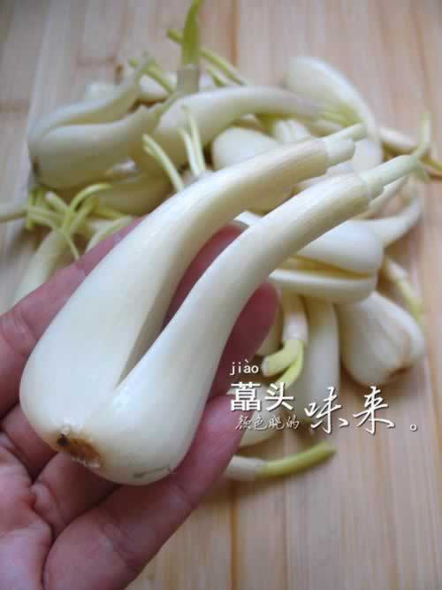 ˊͷ���㳦������