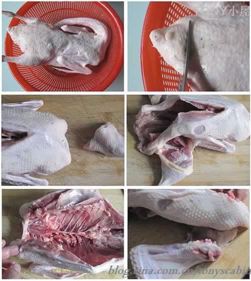 ���5��������и�һֻѼ�ӵ�����