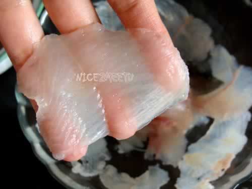 ������Ƭ������