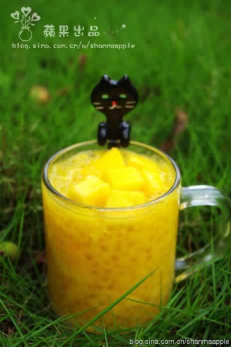 â������¶&Ҭ֭����¶������