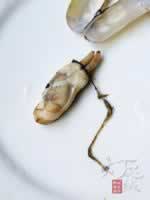 �������������������