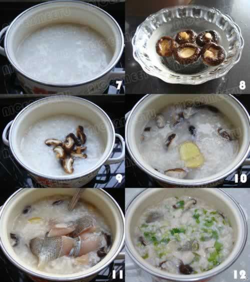 �㹽��Ƭ�������