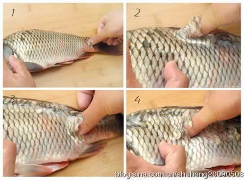 ���۶�������