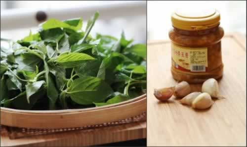 普宁豆酱炒麻叶的做法