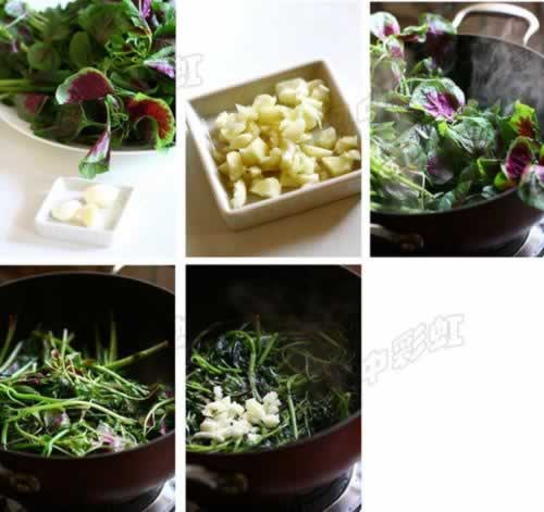 �����Ȳ˵�����