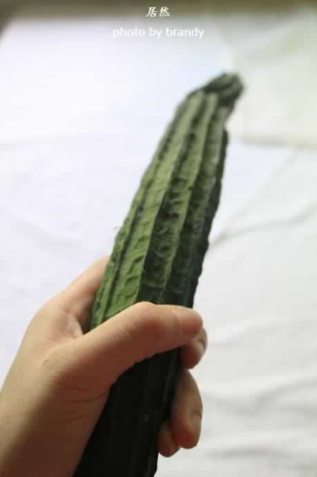 ˿��С������������