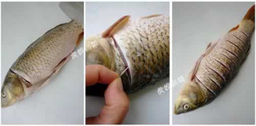 �ⱬ�������