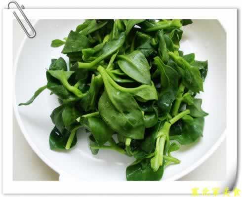 Ǻ�贩����������