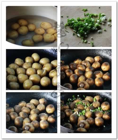 ��ȻС����������