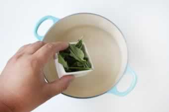 ��������ˬ������