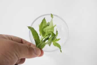 ��������ˬ������