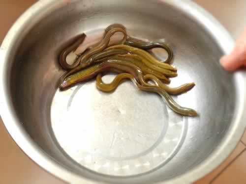 ��������¸µ�����