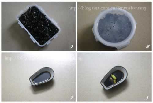 �����ĩľ��˿������