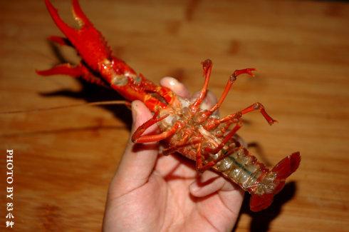 ˮ��С��Ϻ������