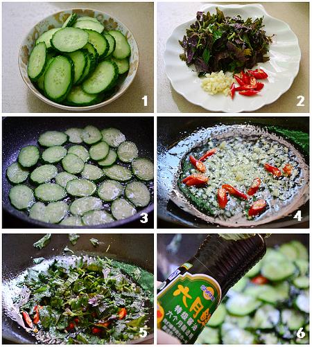 ���ռ�ƹϵ�����