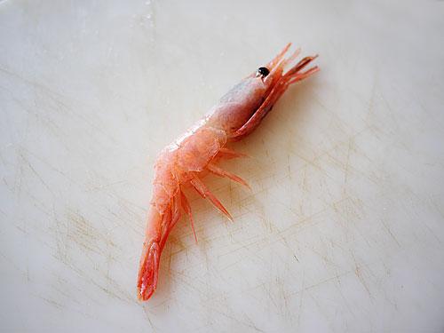 ���籱��Ϻ������