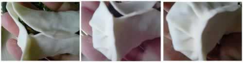 韭菜鲜肉蒸饺的做法