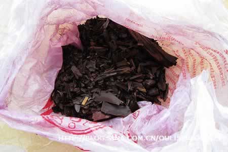 ����������˿������