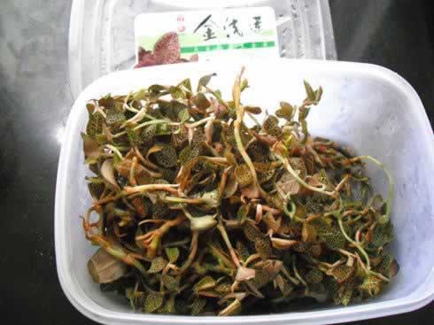 金线莲炖鸭肫的做法