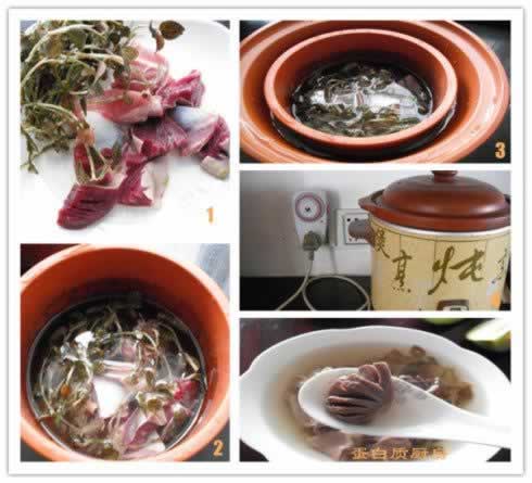 金线莲炖鸭肫的做法