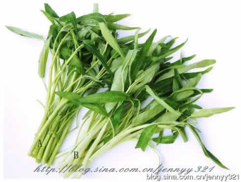 椒丝腐乳通菜的做法