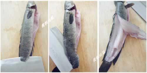 ������Ƭ������