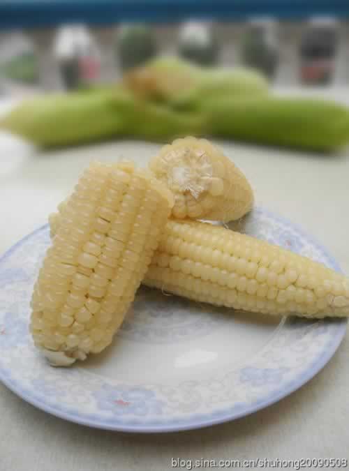 ΢��¯�����׵�����