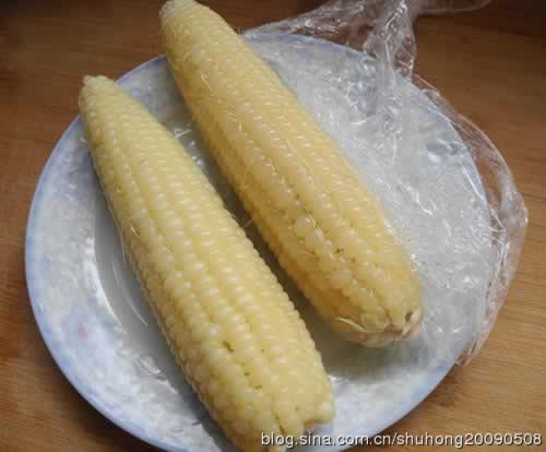 ΢��¯�����׵�����