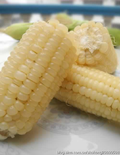 ΢��¯�����׵�����