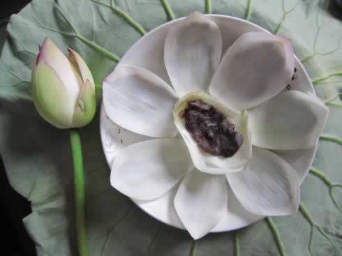 酥炸荷花的做法